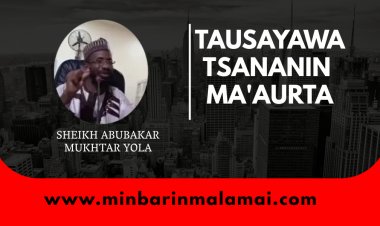 TAUSAYAWA TSANANIN MA'AURTA